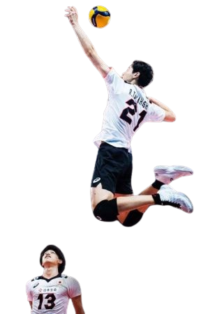 volleyball programme sportif